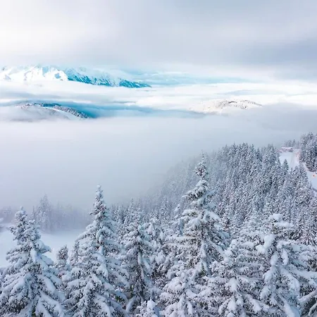 Lola * Seefeld in Tirol